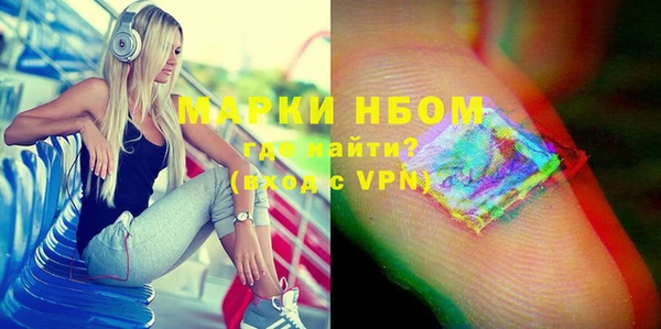 гашик Пестово