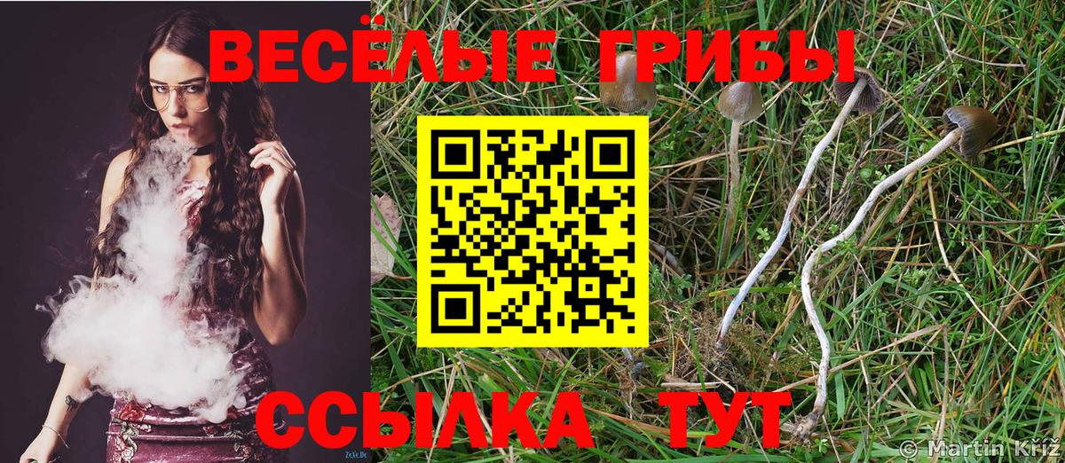 Галлюциногенные грибы Cubensis  Борзя  Псилоцибиновые грибы ЛСД 