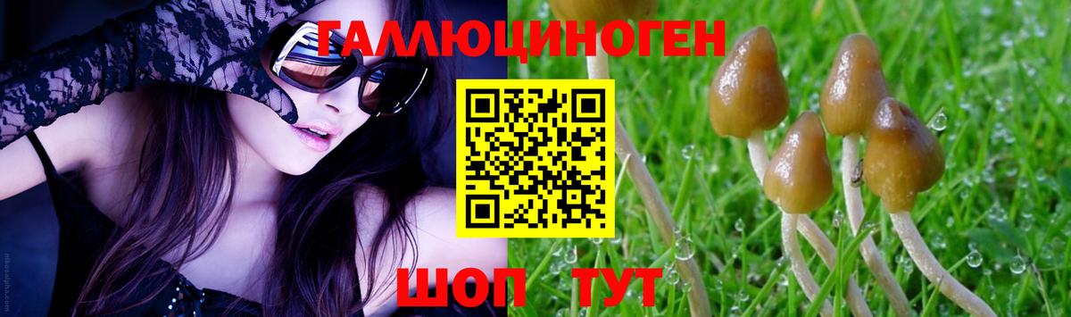 Галлюциногенные грибы GOLDEN TEACHER Борзя