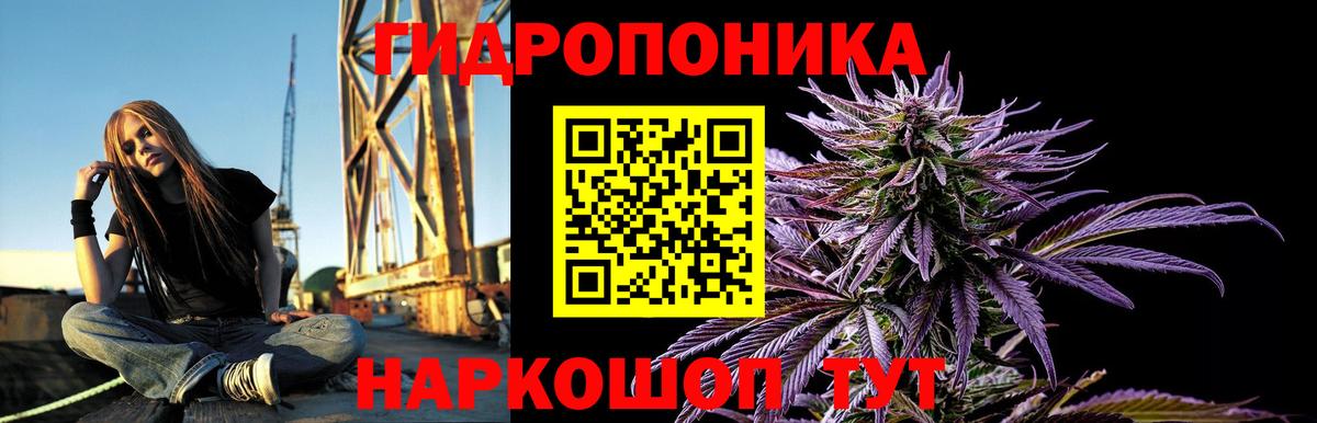 МАРИХУАНА планчик Борзя